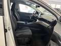 Peugeot 3008 BlueHDi 130  EAT8 Allure BIANCO PERLA TETTO NERO Bianco - thumbnail 8