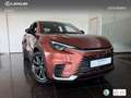 Lexus LBX Elegant Black Marrón - thumbnail 12