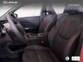 Lexus LBX Elegant Black Marrón - thumbnail 15