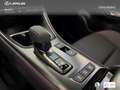 Lexus LBX Elegant Black Marrón - thumbnail 20