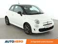 Fiat 500 1.0 Mild-Hybrid Hey Google*NAVI*PDC*TEMPO*KLIMA* Weiß - thumbnail 8
