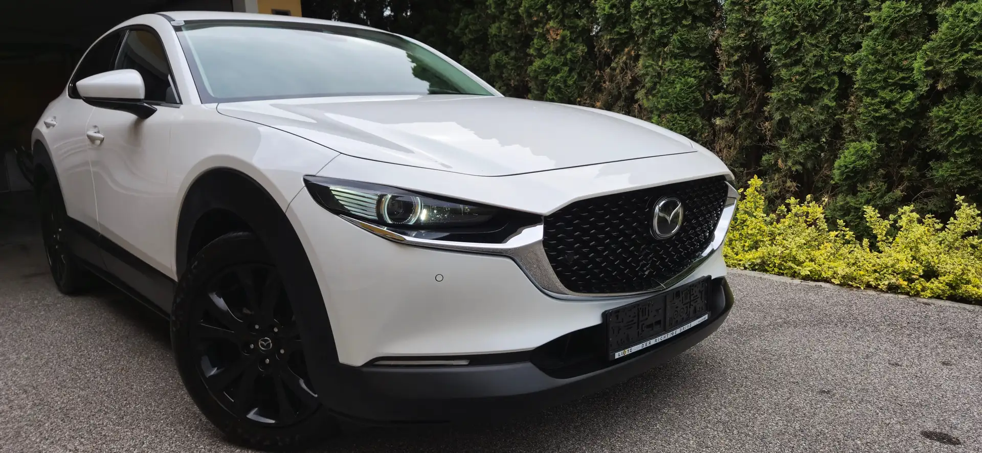 Mazda CX-30 CX-30 G122 Comfort+/ST Comfort+/ST Weiß - 1