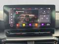 CUPRA Formentor 2.0 TDI DSG 4D LM19 KAMERA MEMORY NAVI Grau - thumbnail 14