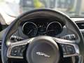 Jaguar F-Pace F-Pace Prestige 20d AWD Grau - thumbnail 7
