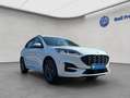 Ford Kuga 2.5 Duratec PHEV ST-LINE *AHK*NAVI* Blanc - thumbnail 8