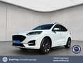Ford Kuga 2.5 Duratec PHEV ST-LINE *AHK*NAVI* Bianco - thumbnail 1