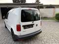 Volkswagen Caddy Caddy Kombi 2,0 TDI Weiß - thumbnail 6