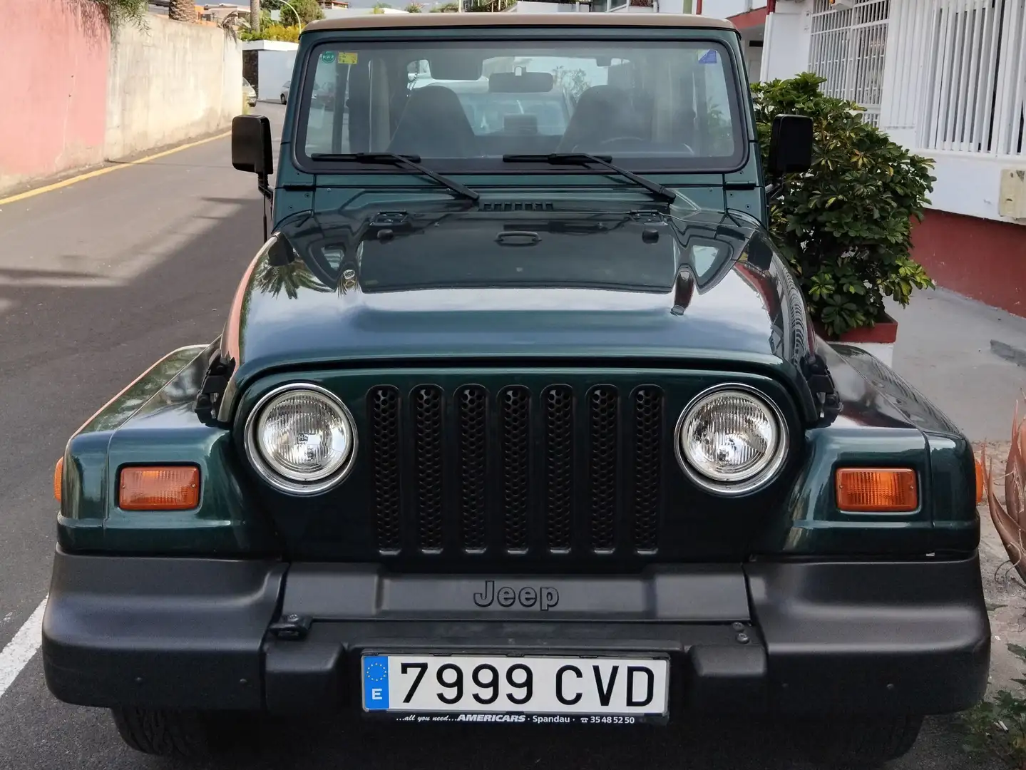 Jeep Wrangler Wrangler 4.0 Sport Techo Duro AT Verde - 2