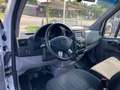 Mercedes-Benz Sprinter 316 CDI L2H2 Kasten*Klima*Tempomat* Alb - thumbnail 19