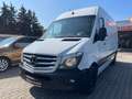 Mercedes-Benz Sprinter 316 CDI L2H2 Kasten*Klima*Tempomat* Alb - thumbnail 27
