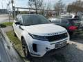Land Rover Range Rover Evoque D150 S (MOTORSCHADEN) Weiß - thumbnail 1
