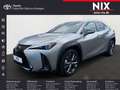 Lexus UX 250h F SPORT Design Silber - thumbnail 1