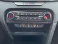 Kia Ceed / cee'd SW 1.5 T-GDI Nightline Edition Weiß - thumbnail 14