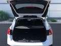 Ford Focus 1.0 Eco Boost KLIMA LED NAVI ALU Blanc - thumbnail 7