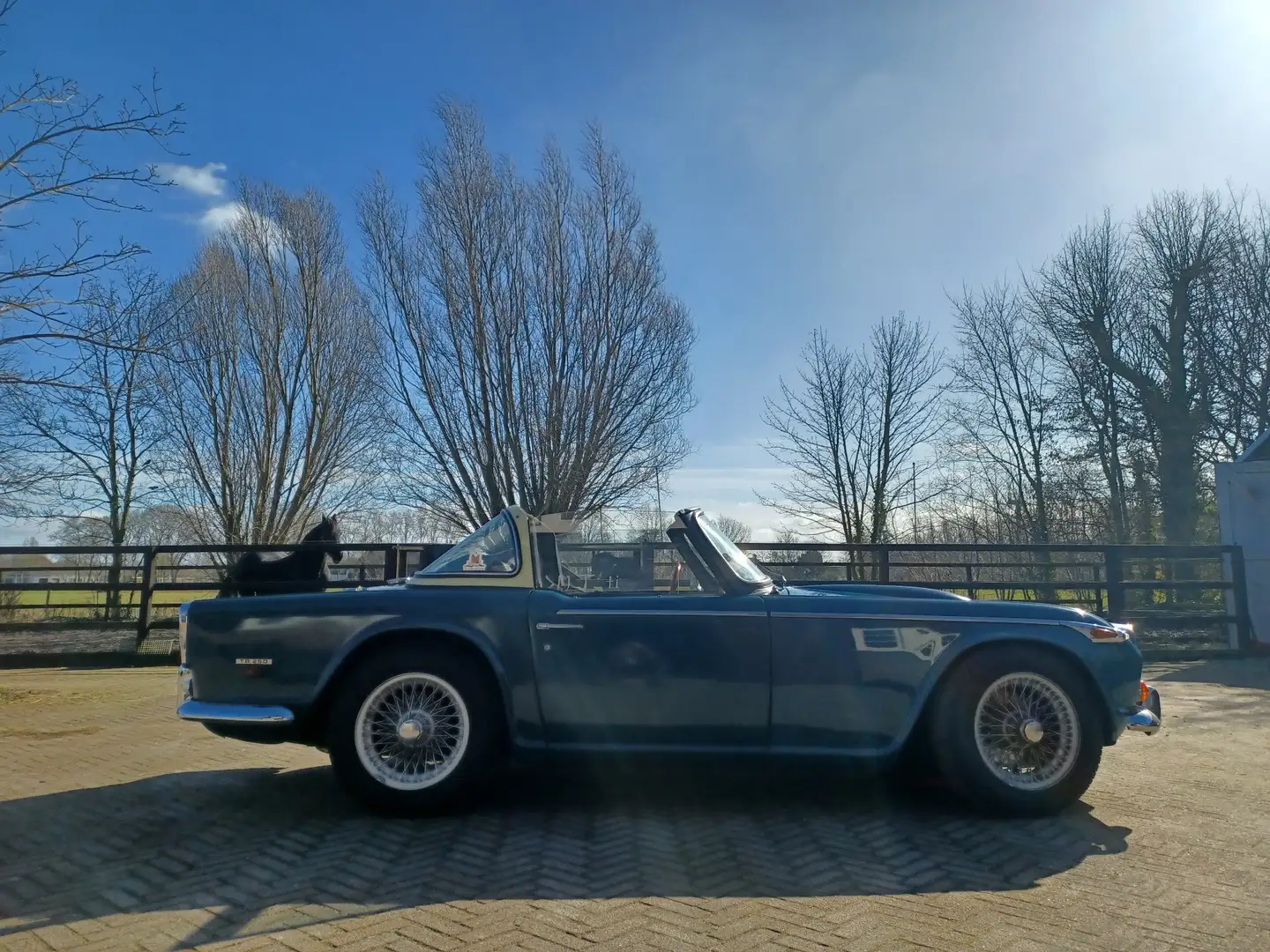 Triumph TR5 tr 250 Surrey top en softtop - 1