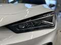 CUPRA Formentor 2.0 TSI 4Drive DSG Bianco - thumbnail 12