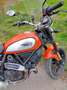 Ducati Scrambler 800 Tangerine Orange - thumbnail 6