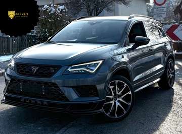 Top Optik Servicegepflegt