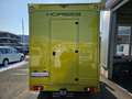 Renault Master Dickenherr Pferdetransporter Grün - thumbnail 3