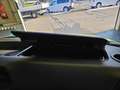 Renault Master Dickenherr Pferdetransporter Grün - thumbnail 39