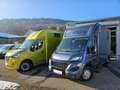 Renault Master Dickenherr Pferdetransporter Grün - thumbnail 43