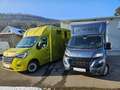 Renault Master Dickenherr Pferdetransporter Grün - thumbnail 42