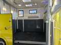 Renault Master Dickenherr Pferdetransporter Grün - thumbnail 20