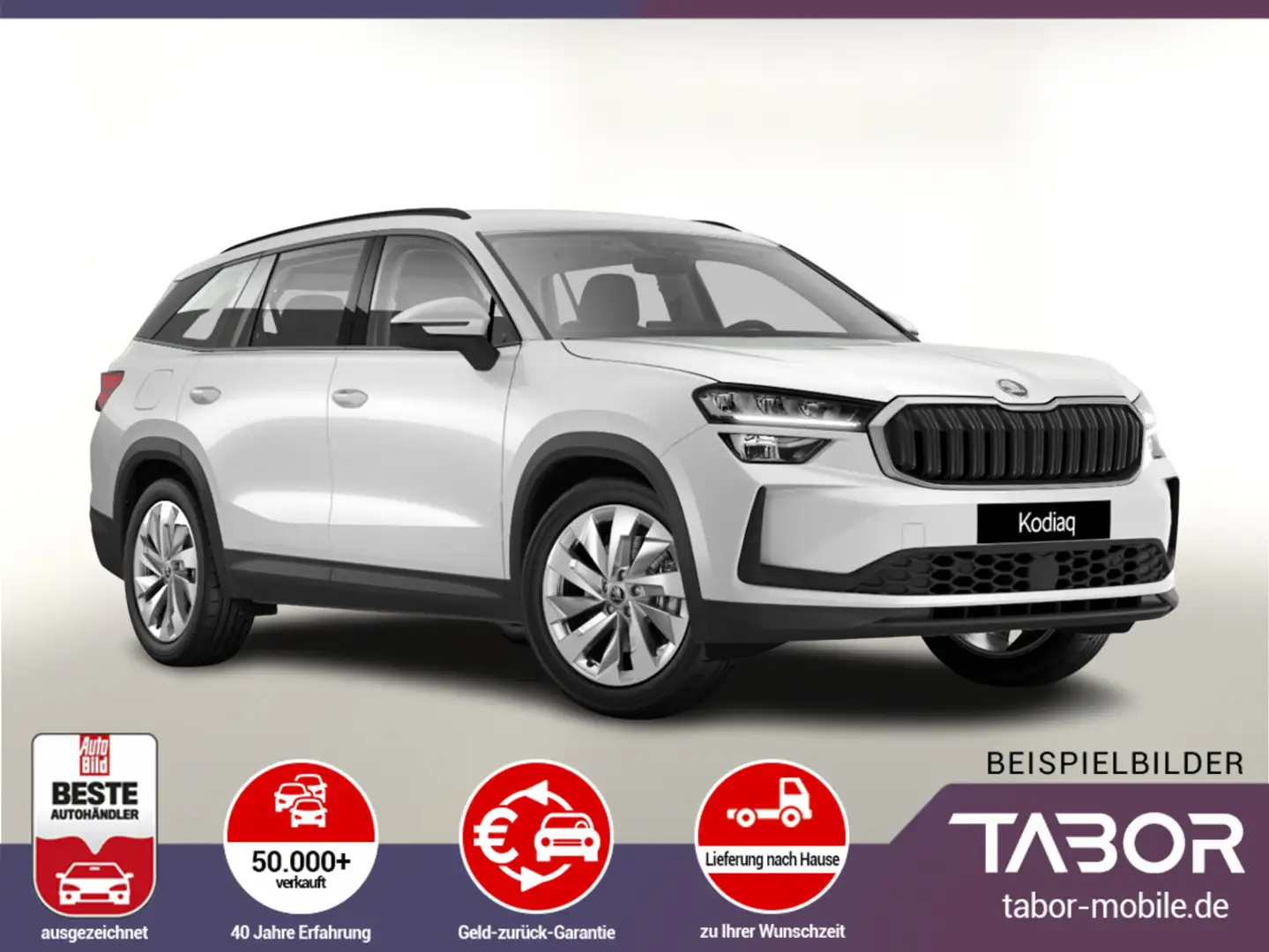 Skoda Kodiaq TDI 193 AHK 7S Nav Kam 19Z PDC SHZ SideA Weiß - 1