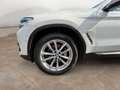 BMW X3 xDrive30d Luxury Line + 2Jahre-BPS.-GARANTIE Weiß - thumbnail 3