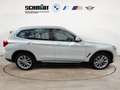 BMW X3 xDrive30d Luxury Line + 2Jahre-BPS.-GARANTIE Weiß - thumbnail 8