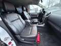 Isuzu D-Max D-Max 4x4 Double Cab Premium+ Blanco - thumbnail 7