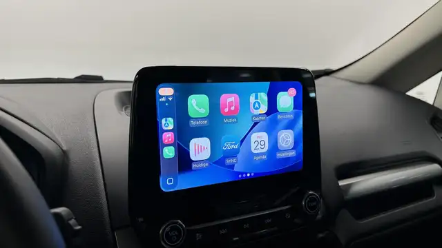 Ford Ecosport view 7