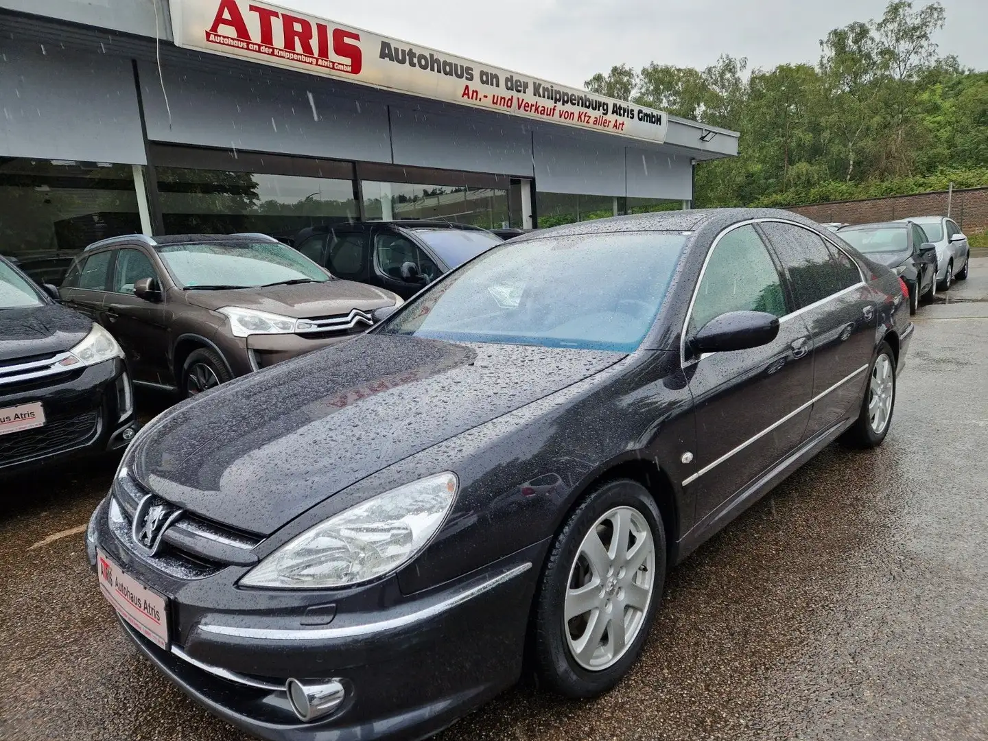 Peugeot 607 Platinum Gris - 2