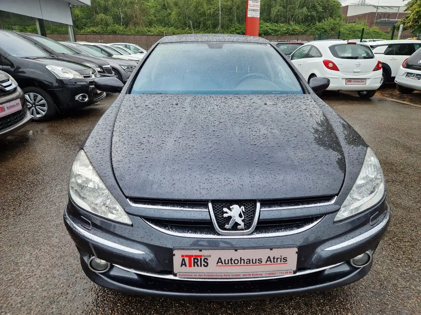 Peugeot 607 Platinum Gris - 1