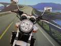 Honda Hornet 600 -2004 - km 32862 Grau - thumbnail 9
