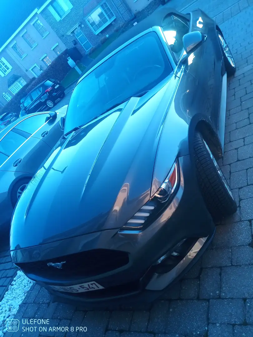 Ford Mustang Mustang Cabrio 2.3 Eco Boost Gris - 1