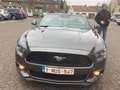 Ford Mustang Mustang Cabrio 2.3 Eco Boost Gris - thumbnail 3