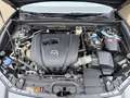 Mazda CX-30 SKYACTIV-G 2.0 150PS M Hybrid Selection Design Pak Grau - thumbnail 21