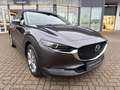 Mazda CX-30 SKYACTIV-G 2.0 150PS M Hybrid Selection Design Pak Grau - thumbnail 9