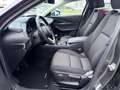 Mazda CX-30 SKYACTIV-G 2.0 150PS M Hybrid Selection Design Pak Grau - thumbnail 10