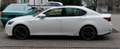 Lexus GS 450h GS 450h F Sport Blanco - thumbnail 15