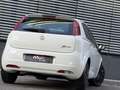 Fiat Grande Punto 1.4 8V Racing|PICKERL NEU|KLIMA|2.BESITZ Weiß - thumbnail 8