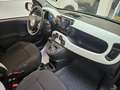 Fiat Panda Pandina 1.0 firefly hybrid s&s 70cv Schwarz - thumbnail 7