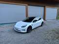 Tesla Model 3 Model 3 Standard Range RWD Plus 57,5kWh RWD Plus Weiß - thumbnail 1