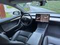 Tesla Model 3 Model 3 Standard Range RWD Plus 57,5kWh RWD Plus Weiß - thumbnail 10
