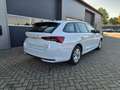 Skoda Octavia Combi 1.5 TSI 150PS m-HEV DSG Selection AHK Kli... Weiß - thumbnail 5