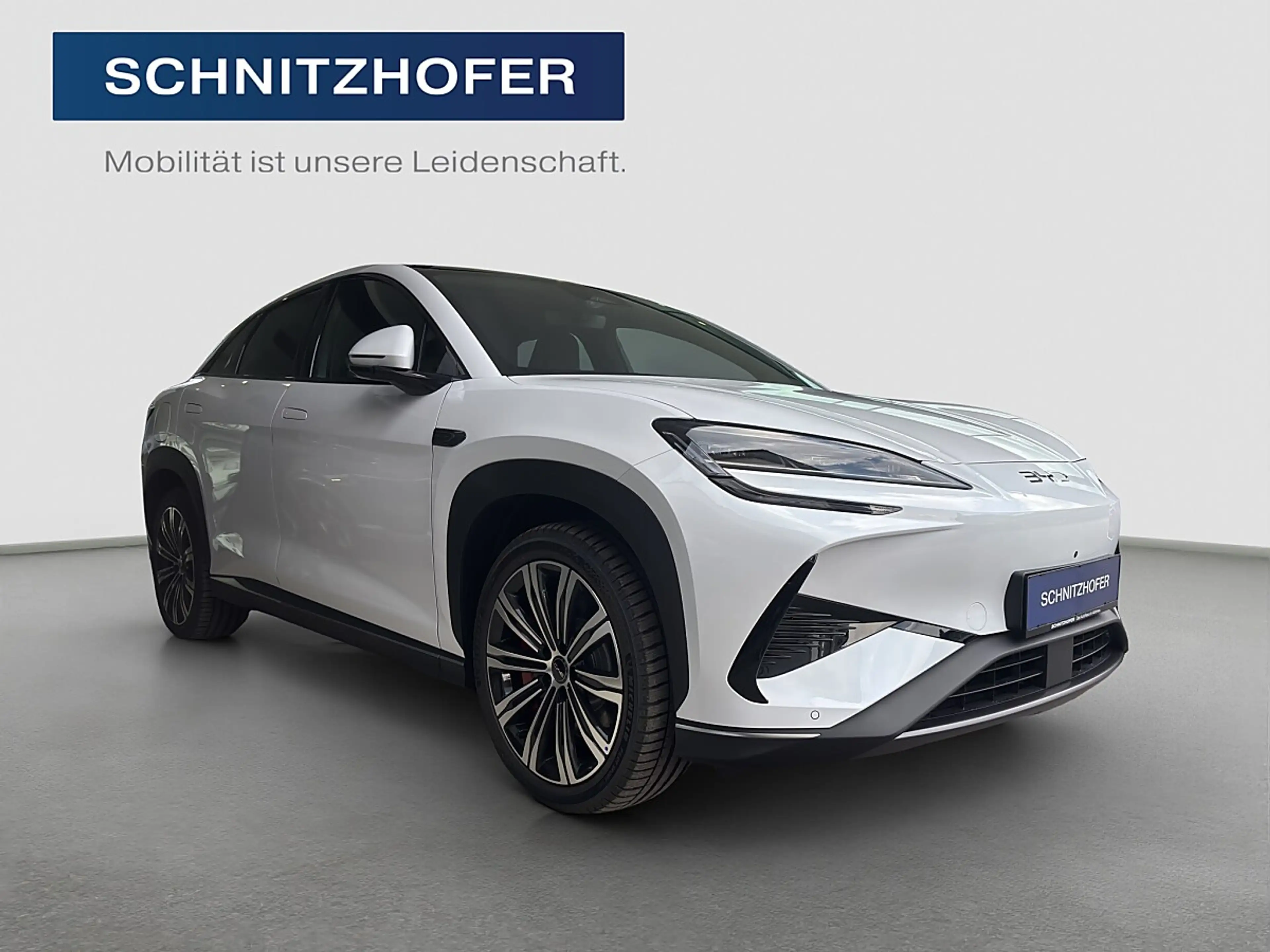 BYD Sealion 7 Excellence Österreich Paket 91.5 kWh AWD — photo 3