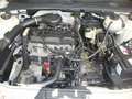 Volkswagen Golf Cabriolet Golf Rabbit Cabrio el. Verdeck Weiß - thumbnail 14