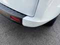 Ford Transit Custom 300 L2H1 2.0 EcoBlue 130 Trend Business Blanc - thumbnail 12