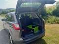 Ford C-Max C-MAX iconic 2,0 TDCi DPF Powershift iconic Braun - thumbnail 5